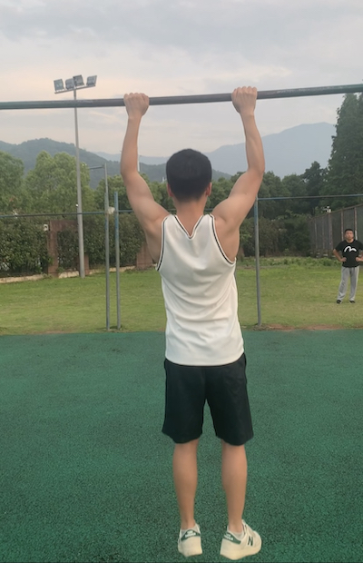 image of a pull-up